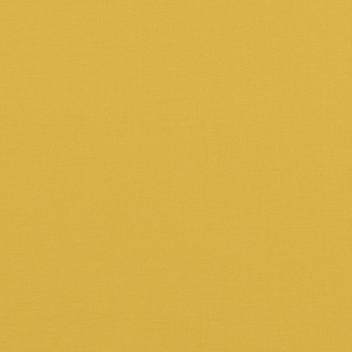 Pavilion Yellow by Baker Lifestyle Fabric PAVILION - BLEGRAVE NOTEBOOK COTTON - 65%;POLYESTER - 35% Turkey Horizontal: and Vertical: 58.04408 - Fabric Carolina -
