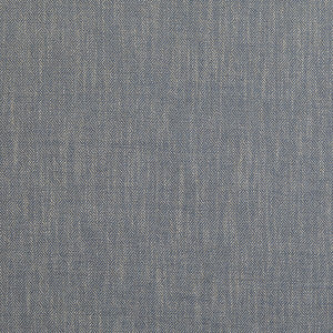 Garden Path Indigo by Baker Lifestyle Fabric