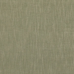Garden Path Green by Baker Lifestyle Fabric