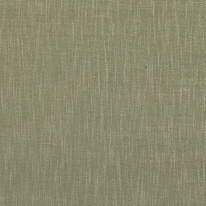 Garden Path Green by Baker Lifestyle Designer Fabric BLOCK WEAVES VISCOSE - 52%;COTTON - 23%;LINEN - 14%;POLYESTER - 11% Belgium - Horizontal: 0.985 and Vertical: 1.182 55.16 - Swanky Fabrics -