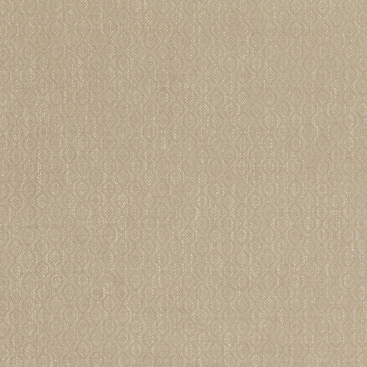 Orchard Stone by Baker Lifestyle Fabric BLOCK WEAVES VISCOSE - 52%;COTTON - 23%;LINEN - 14%;POLYESTER - 11% Belgium HEAVY Horizontal: 1.97 and Vertical: 1.576 55.16 - Fabric Carolina -