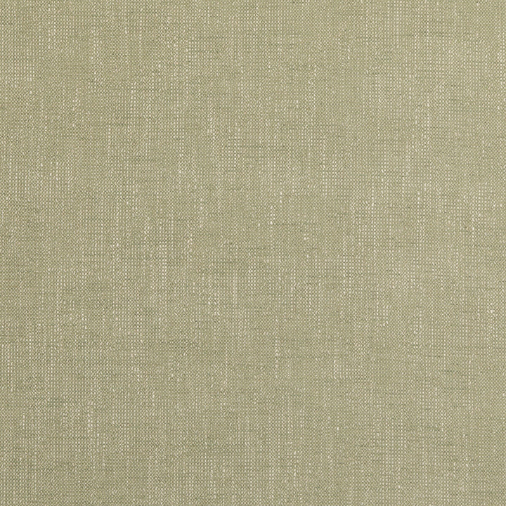 Bower Green by Baker Lifestyle Fabric BLOCK WEAVES VISCOSE - 52%;COTTON - 25%;LINEN - 13%;POLYESTER - 10% Belgium HEAVY Horizontal: - and Vertical: - 55.16 - Fabric Carolina -