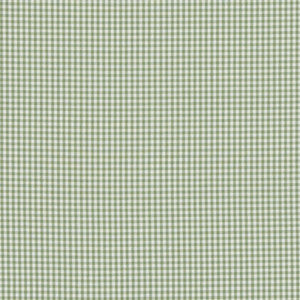 Sherborne Gingham Green by Baker Lifestyle Fabric