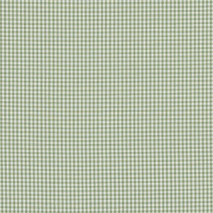 Sherborne Gingham Green by Baker Lifestyle Fabric