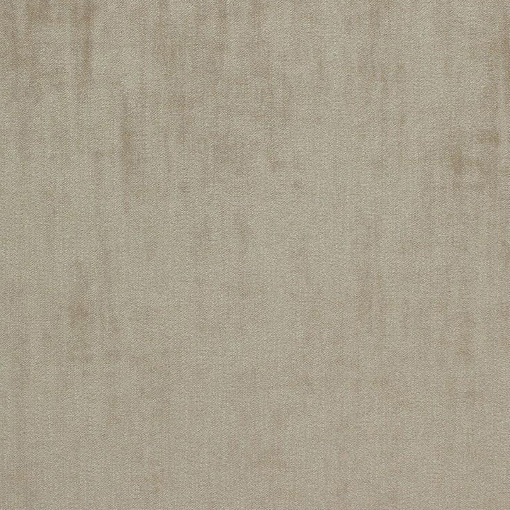 Phantom 11J5541 by JF Fabric Phantom Book 100% Polyester Belgium 200000 Horizontal: and Vertical: 55 - Fabric Carolina -