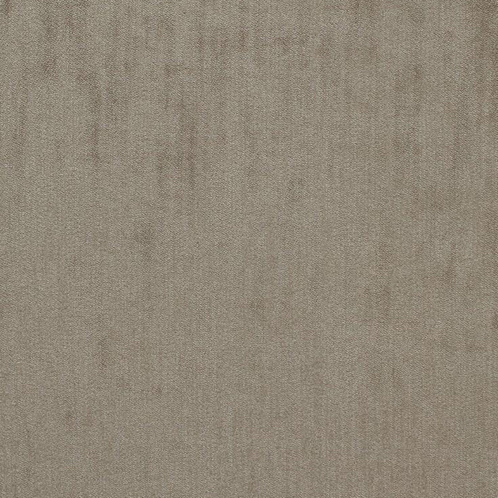 Phantom 31J5541 by JF Fabric Phantom Book 100% Polyester Belgium 200000 Horizontal: and Vertical: 55 - Fabric Carolina -