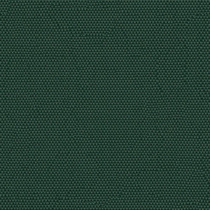 Phifertex Plus 3007154 Holly Green CL1 by Phifertex Fabric