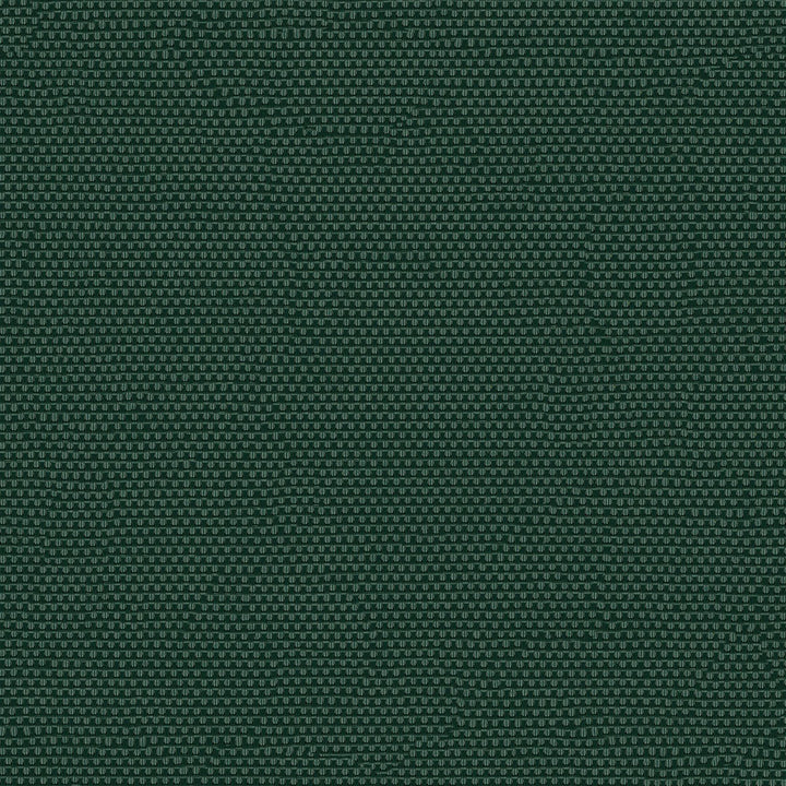 Phifertex Plus 3007154 Holly Green CL1 by Phifertex Designer Fabric N/A 100% Polyvinyl Chloride (PVC) US </p><p>Repeat: Horizontal: and Vertical: 54" (137 cm) - Swanky Fabrics -
