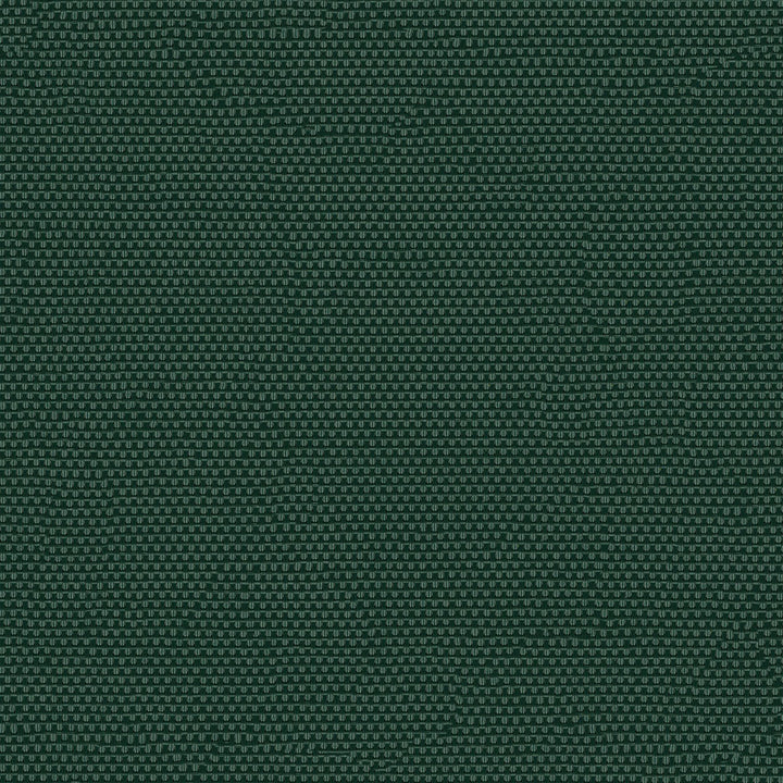 Phifertex Plus 3007154 Holly Green CL1 by Phifertex Fabric 100% Polyvinyl Chloride (PVC) US </p><p>Repeat: Horizontal: and Vertical: 54" (137 cm) - Fabric Carolina -
