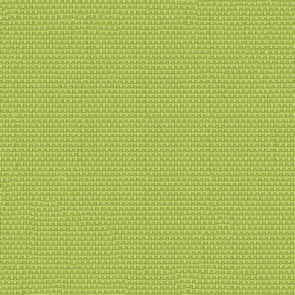 Phifertex Plus 3013966 Garden Green DB6 by Phifertex Fabric N/A 100% Polyvinyl Chloride (PVC) US </p><p>Repeat: Horizontal: and Vertical: 54" (137 cm) - Fabric Carolina -