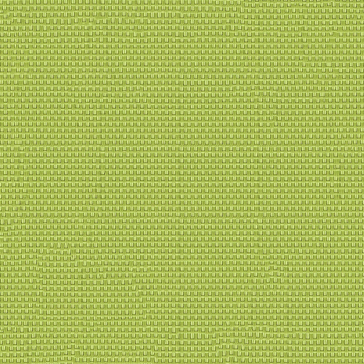 Phifertex Plus 3013966 Garden Green DB6 by Phifertex Fabric N/A 100% Polyvinyl Chloride (PVC) US </p><p>Repeat: Horizontal: and Vertical: 54" (137 cm) - Fabric Carolina -