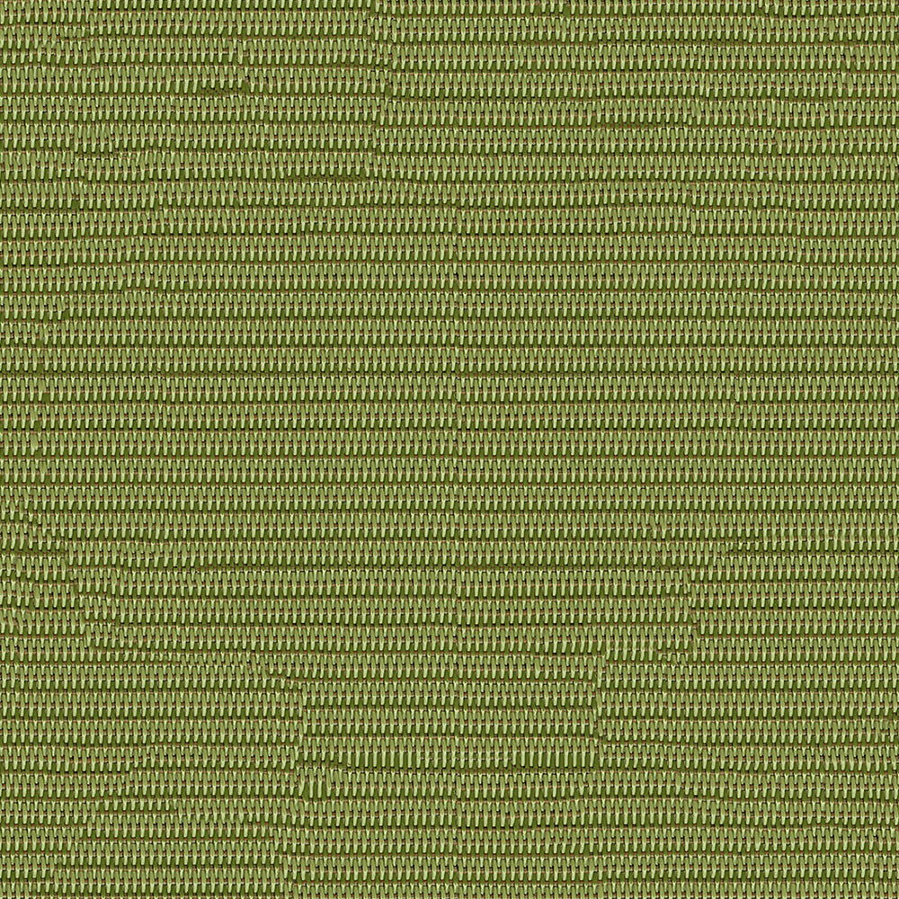 Phifertex Plus 3021366 Dupioni Kiwi DJ7 by Phifertex Fabric 100% Polyvinyl Chloride (PVC) US </p><p>Repeat: Horizontal: and Vertical: 54" (137 cm) - Fabric Carolina -