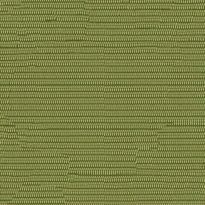 Phifertex Plus 3021366 Dupioni Kiwi DJ7 by Phifertex Fabric N/A 100% Polyvinyl Chloride (PVC) US </p><p>Repeat: Horizontal: and Vertical: 54" (137 cm) - Fabric Carolina -