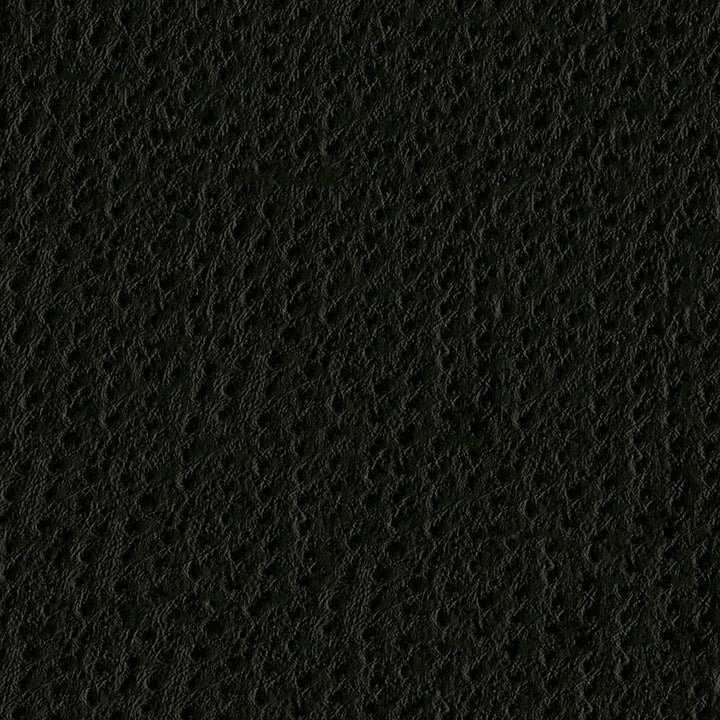 Phoenix 003 Caviar by ABBEYSHEA Fabric N/A 100% Polyurethane (PU) China 500,000 Double Rubs </p><p>Repeat: Horizontal: and Vertical: 54" (137 cm) - Fabric Carolina -