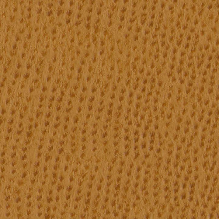 Phoenix 005 Chutney by ABBEYSHEA Fabric N/A 100% Polyurethane (PU) China 500,000 Double Rubs </p><p>Repeat: Horizontal: and Vertical: 54" (137 cm) - Fabric Carolina -