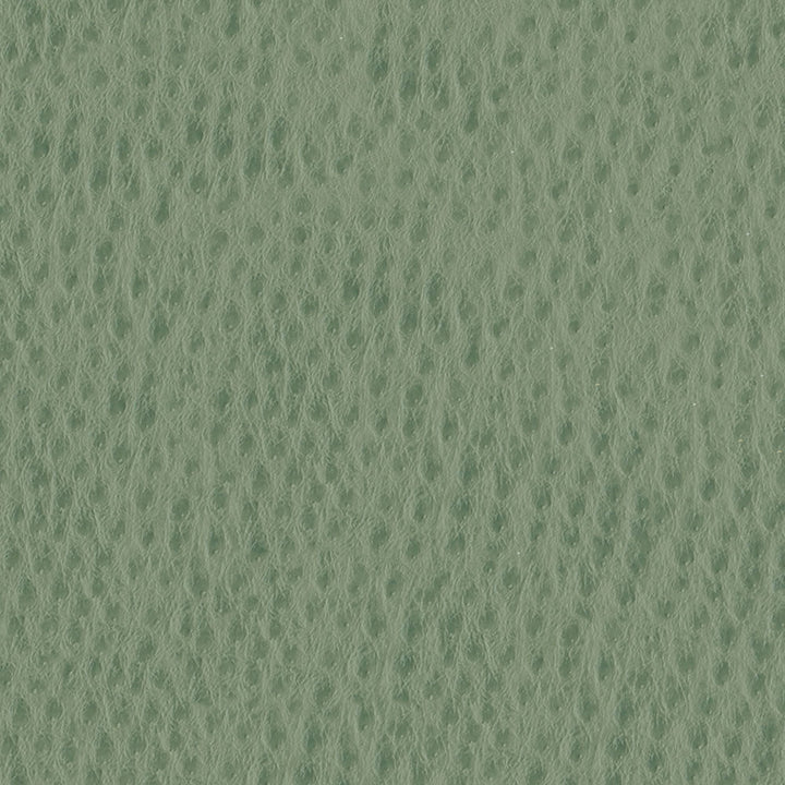Phoenix 006 Drizzle by ABBEYSHEA Fabric N/A 100% Polyurethane (PU) China 500,000 Double Rubs </p><p>Repeat: Horizontal: and Vertical: 54" (137 cm) - Fabric Carolina -