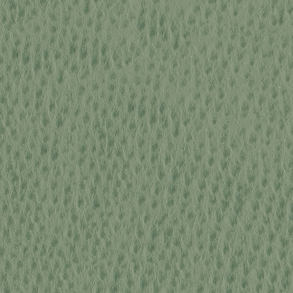 Phoenix 006 Drizzle by ABBEYSHEA Fabric N/A 100% Polyurethane (PU) China 500,000 Double Rubs </p><p>Repeat: Horizontal: and Vertical: 54" (137 cm) - Fabric Carolina -