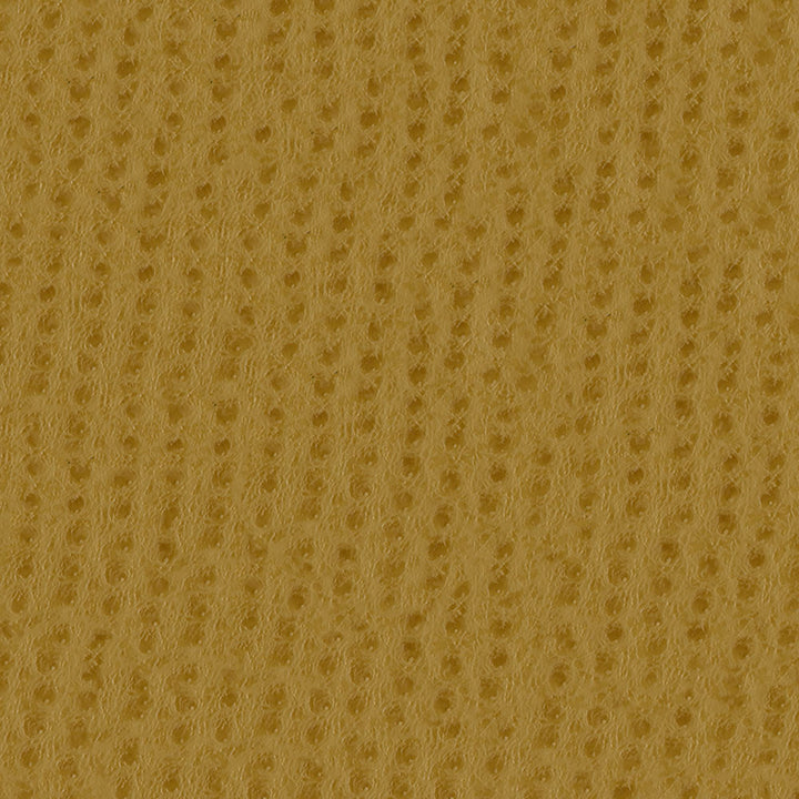 Phoenix 009 Ochre by ABBEYSHEA Fabric N/A 100% Polyurethane (PU) China 500,000 Double Rubs </p><p>Repeat: Horizontal: and Vertical: 54" (137 cm) - Fabric Carolina -