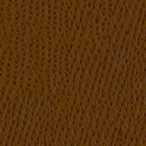 Phoenix 010 Outback by ABBEYSHEA Fabric
