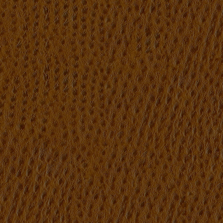 Phoenix 010 Outback by ABBEYSHEA Fabric N/A 100% Polyurethane (PU) China 500,000 Double Rubs </p><p>Repeat: Horizontal: and Vertical: 54" (137 cm) - Fabric Carolina -