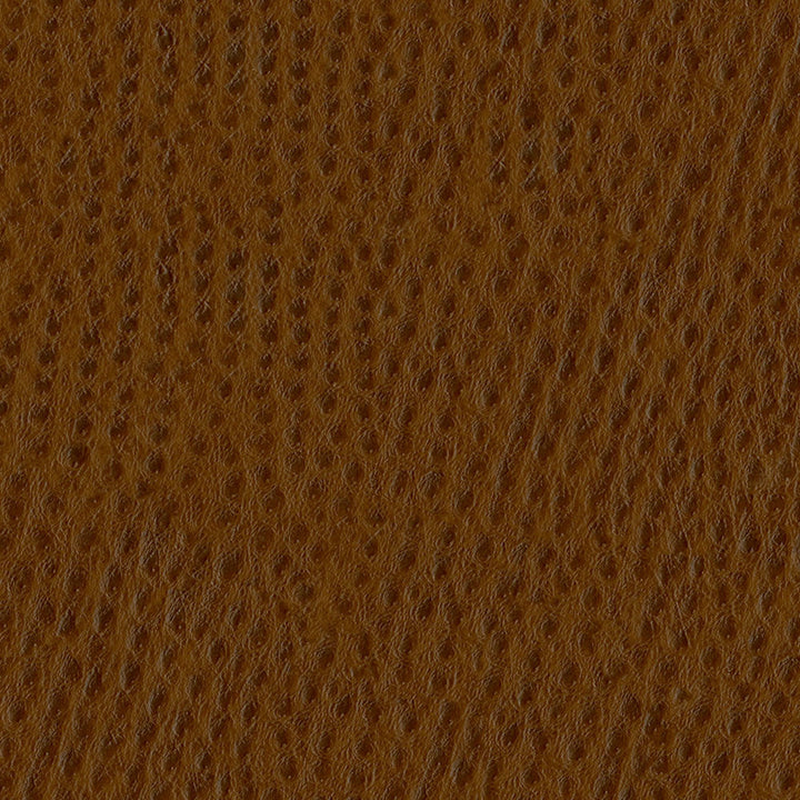 Phoenix 010 Outback by ABBEYSHEA Designer Fabric N/A 100% Polyurethane (PU) China 500,000 Double Rubs </p><p>Repeat: Horizontal: and Vertical: 54" (137 cm) - Swanky Fabrics -