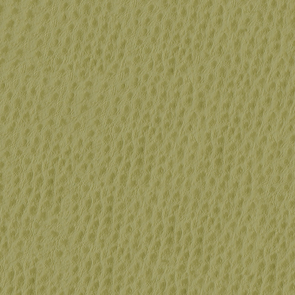 Phoenix 013 Willow by ABBEYSHEA Designer Fabric N/A 100% Polyurethane (PU) China 500,000 Double Rubs </p><p>Repeat: Horizontal: and Vertical: 54" (137 cm) - Swanky Fabrics -