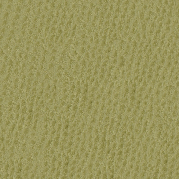 Phoenix 013 Willow by ABBEYSHEA Designer Fabric N/A 100% Polyurethane (PU) China 500,000 Double Rubs </p><p>Repeat: Horizontal: and Vertical: 54" (137 cm) - Swanky Fabrics -