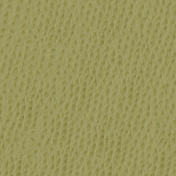 Phoenix 013 Willow by ABBEYSHEA Fabric 100% Polyvinyl Chloride (PVC) US 250,000 Double Rubs (Wyzenbeek) </p><p>Repeat: Horizontal: and Vertical: 54" (137 cm) - Fabric Carolina -
