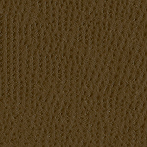 Phoenix 102 Chestnut by ABBEYSHEA Fabric