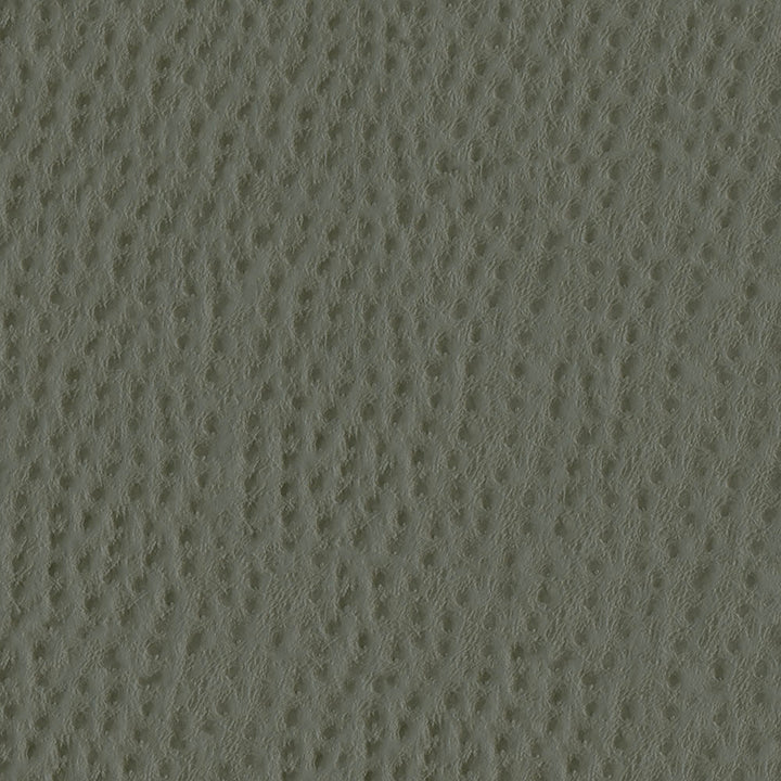 Phoenix 104 Rhino by ABBEYSHEA Fabric 100% Polyvinyl Chloride (PVC) US 250,000 Double Rubs (Wyzenbeek) </p><p>Repeat: Horizontal: and Vertical: 54" (137 cm) - Fabric Carolina -
