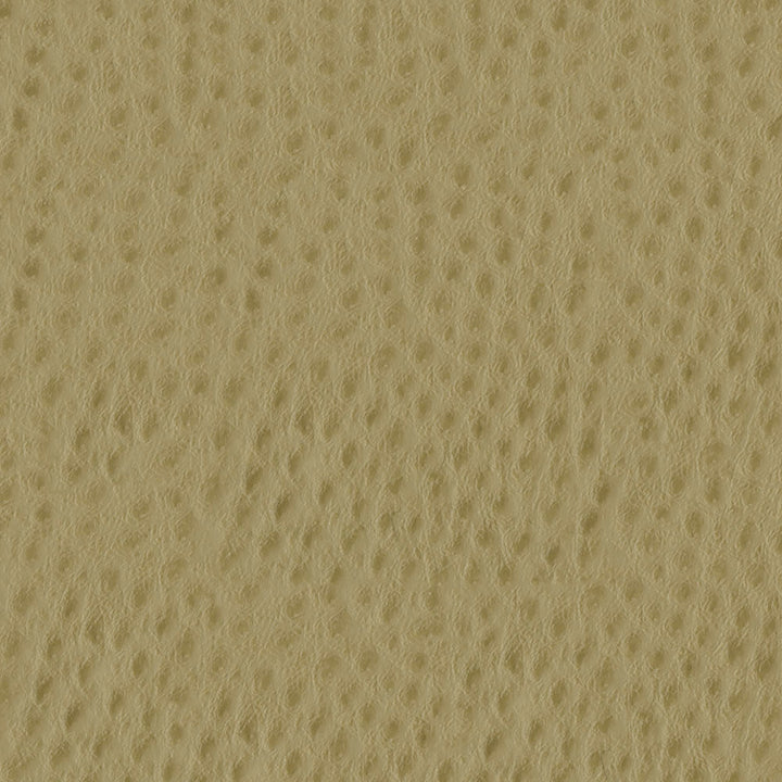 Phoenix 105 Rope by ABBEYSHEA Fabric N/A 100% Polyurethane (PU) China 500,000 Double Rubs </p><p>Repeat: Horizontal: and Vertical: 54" (137 cm) - Fabric Carolina -