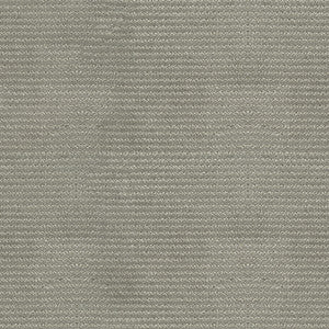 Flute 64 Gray by ABBEYSHEA Fabric