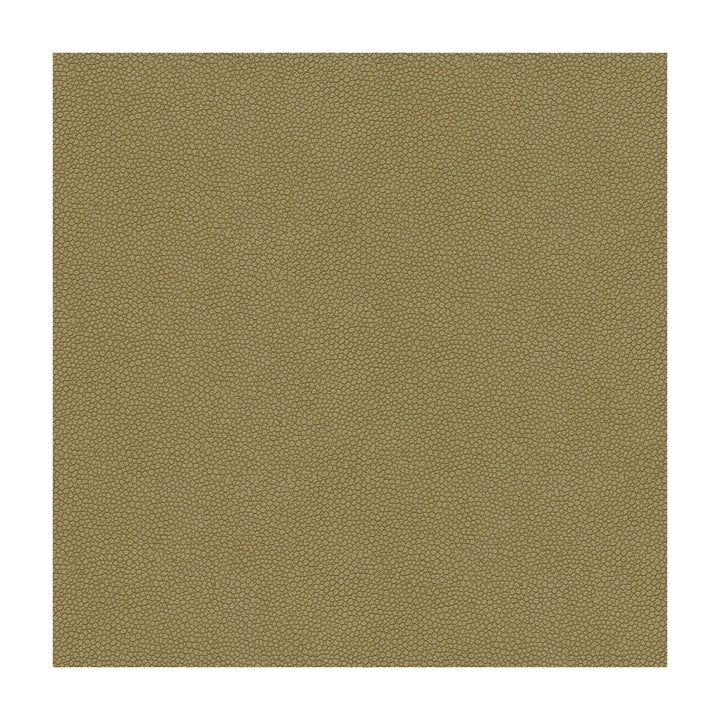 Pietra-11 by Kravet Design Fabric POLYURETHANE - 100% Japan HEAVY Horizontal: and Vertical: 54 - Fabric Carolina -