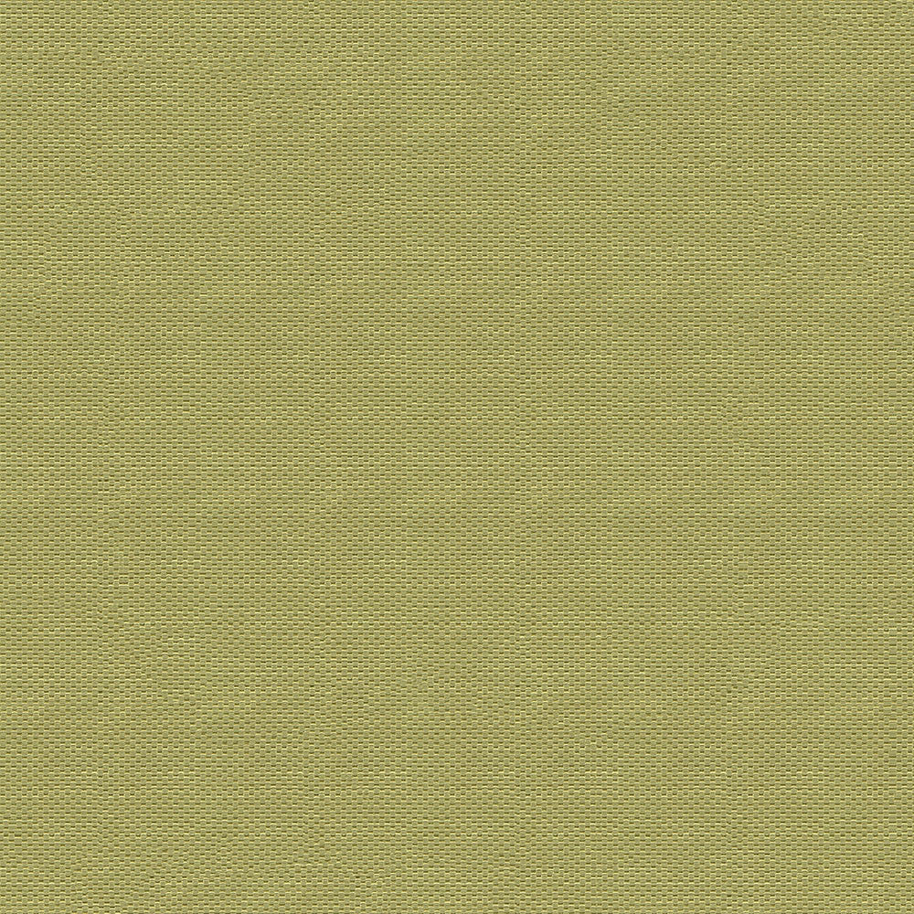 Pinnacle 220 Moss by ABBEYSHEA Fabric 52% Polyester
48% Cotton IN 135,000 Double Rubs (Wyzenbeek) </p><p>Repeat: Horizontal: 7.3 in. (18.542 cm) up the roll and Vertical: 0.2 in. (0.508 cm) across the roll 55 in. (140 cm) - Fabric Carolina -