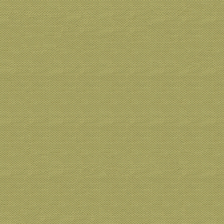 Pinnacle 220 Moss by ABBEYSHEA Fabric 52% Polyester
48% Cotton IN 135,000 Double Rubs (Wyzenbeek) </p><p>Repeat: Horizontal: 7.3 in. (18.542 cm) up the roll and Vertical: 0.2 in. (0.508 cm) across the roll 55 in. (140 cm) - Fabric Carolina -