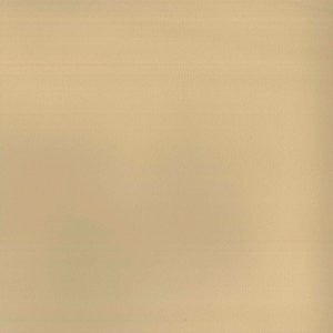 Pinto Camel 14 by Norbar Fabric