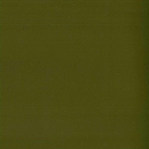 Pinto Loden 64 by Norbar Fabric 100% POLYURETHANE SPAIN 55 - Fabric Carolina -