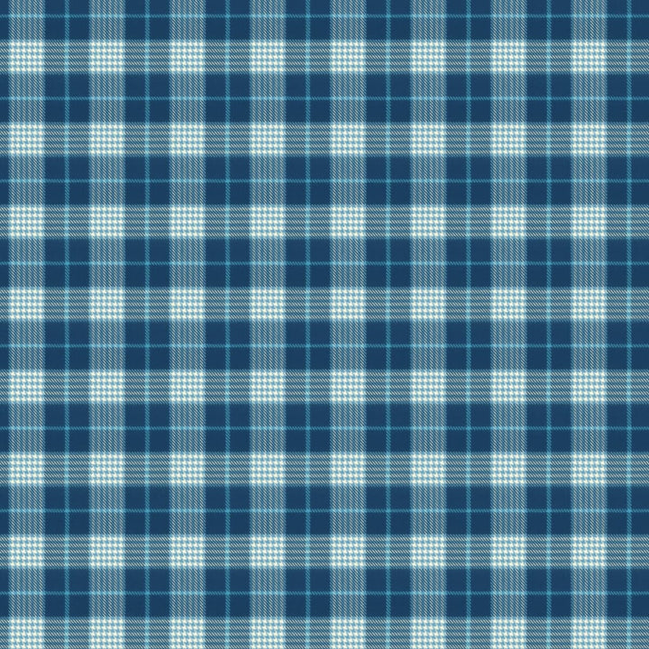 Pipestone 3 Blueberry by Stout Fabric RAINBOW LIBRARY PORCELAIN/ROYAL 100%COT INDIA WYZENBEEK 30 000 DOUBLE RUB WEAR TEST (HEAVY DUTY) </p><p>Repeat: 4.625 54 in - Fabric Carolina -