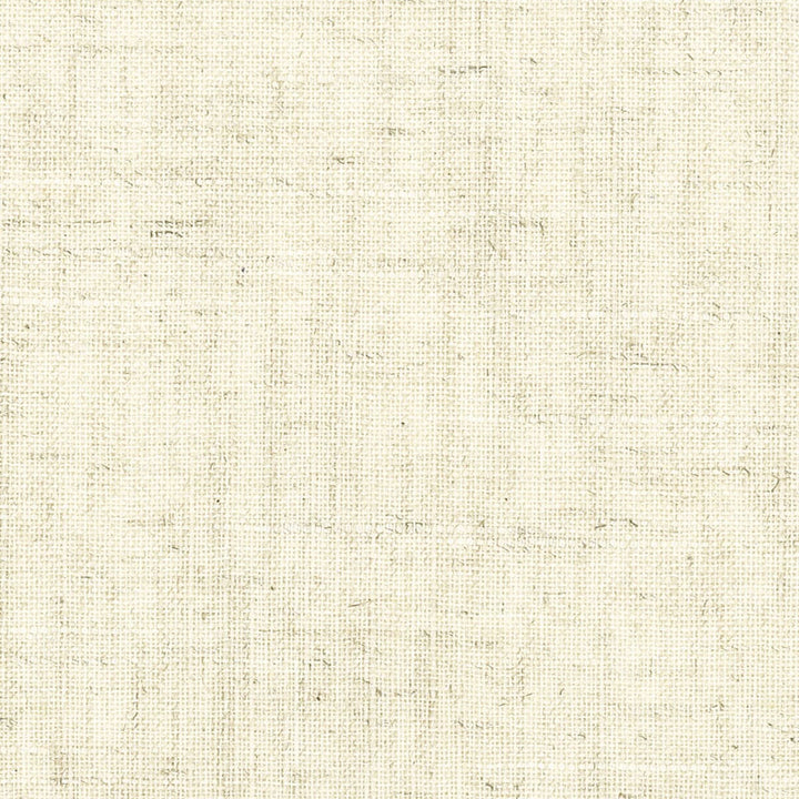 Pisces 1 Oyster by Stout Fabric The Naturals Ii 50% Polyester 30% Spun Viscose 20% Linen CHINA Horizontal: 0 and Vertical: 0 56 in - Fabric Carolina -