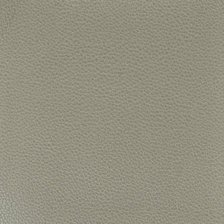 Pitcher 1 Graphite by Stout Fabric LEATHER LOOKS IV 100%POL CHINA PERFORMANCE RATED FABRIC FLAME RETARDANT-U.F.A.C. CLASS 1 FLAME RETARDANT-N.F.P.A. 260A CLASS 1 CATB 117-2013 WYZENBEEK 100 000 DOUBLE RUB WEAR TEST (HEAVY DUTY) Horizontal: 0 and Vertical: 0 54 in - Fabric Carolina -
