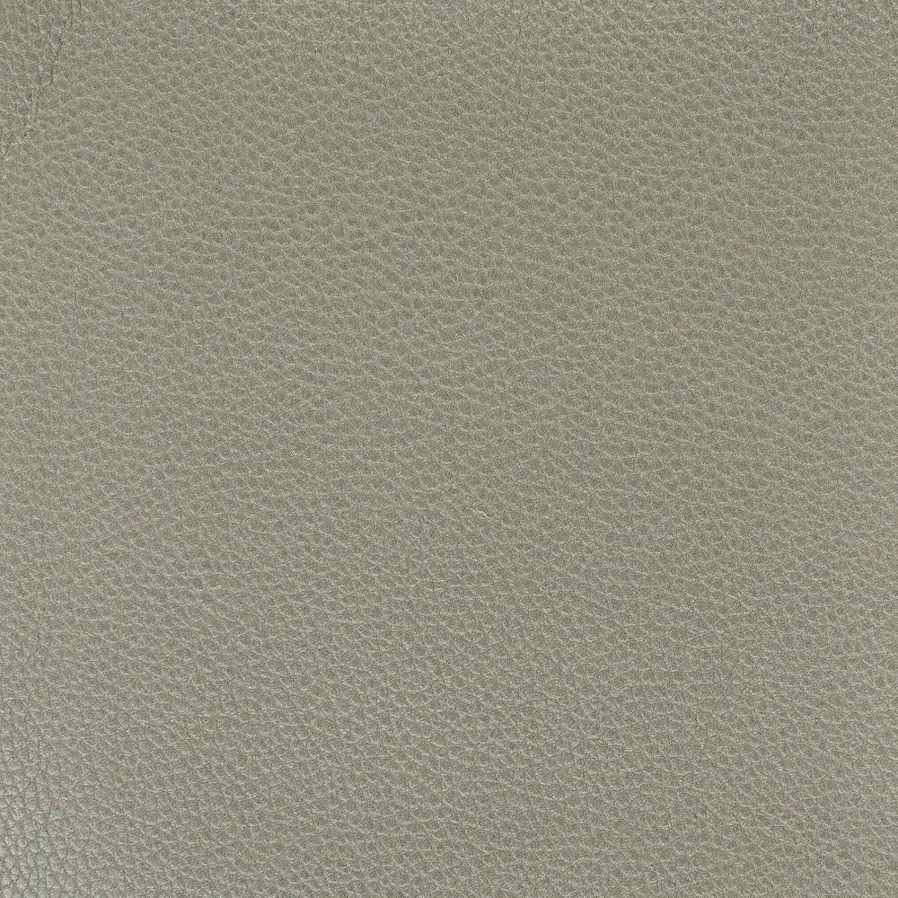 Pitcher 1 Graphite by Stout Fabric Stout Fabric Pitcher 1 GraphiteFabric LEATHER LOOKS IV 100%POL CHINA </p><p>Repeat: H: 0.000, V: 0.000 54 in - Fabric Carolina -