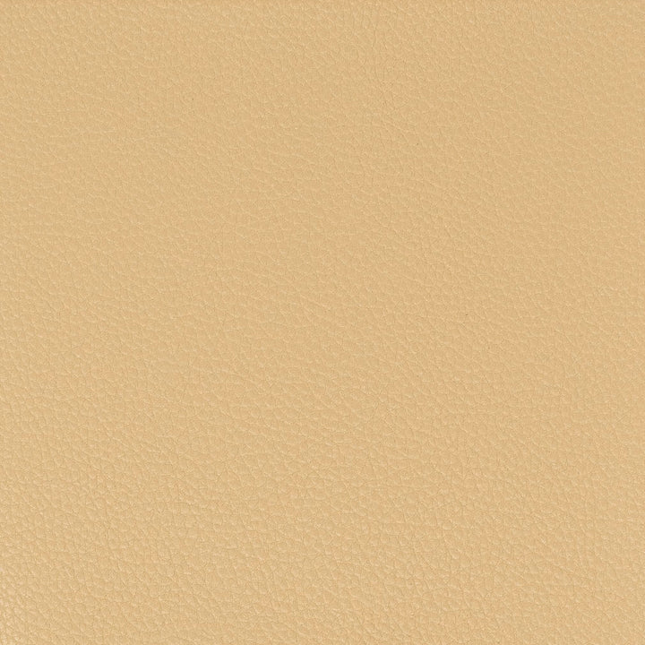 Pitcher 6 Camel by Stout Fabric LEATHER LOOKS IV 100%POL CHINA PERFORMANCE RATED FABRIC FLAME RETARDANT-U.F.A.C. CLASS 1 FLAME RETARDANT-N.F.P.A. 260A CLASS 1 CATB 117-2013 WYZENBEEK 100 000 DOUBLE RUB WEAR TEST (HEAVY DUTY) Horizontal: 0 and Vertical: 0 54 in - Fabric Carolina -