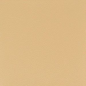 Pitcher 6 Camel by Stout Fabric