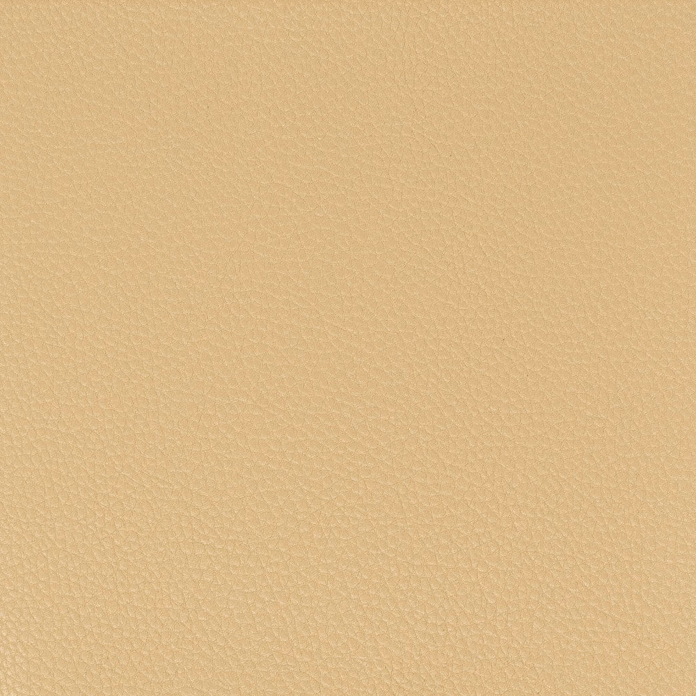 Pitcher 6 Camel by Stout Fabric Stout Fabric Pitcher 6 CamelFabric LEATHER LOOKS IV 100%POL CHINA </p><p>Repeat: H: 0.000, V: 0.000 54 in - Fabric Carolina -
