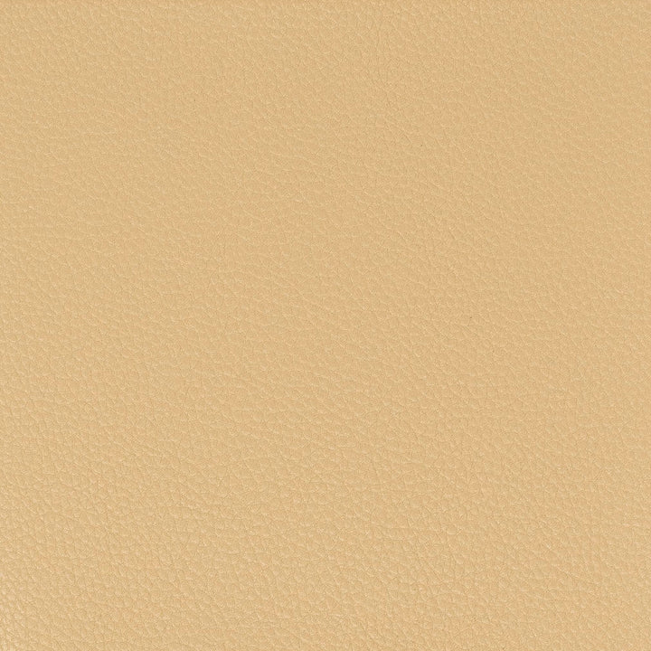 Pitcher 6 Camel by Stout Fabric Stout Fabric Pitcher 6 CamelFabric LEATHER LOOKS IV 100%POL CHINA </p><p>Repeat: H: 0.000, V: 0.000 54 in - Fabric Carolina -