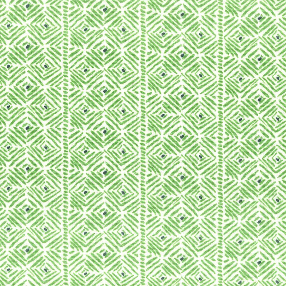 Pixie 2 Fern by Aoc Fabric Aoc Fabric Pixie 2 FernFabric La Bella Vita 55%Lin 45%Cot USA </p><p>Repeat: H: 2.5, V: 0.5 54 in - Fabric Carolina -