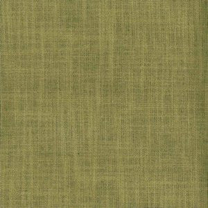 Planet Bamboo by Norbar Fabric