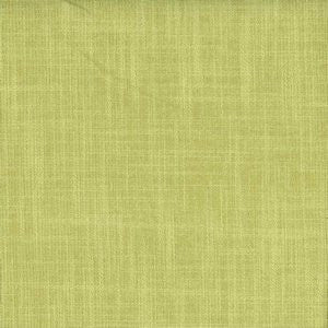 Planet Parrot by Norbar Fabric PLANET 79% COTTON 21% POLYESTER INDIA 55 - Fabric Carolina -