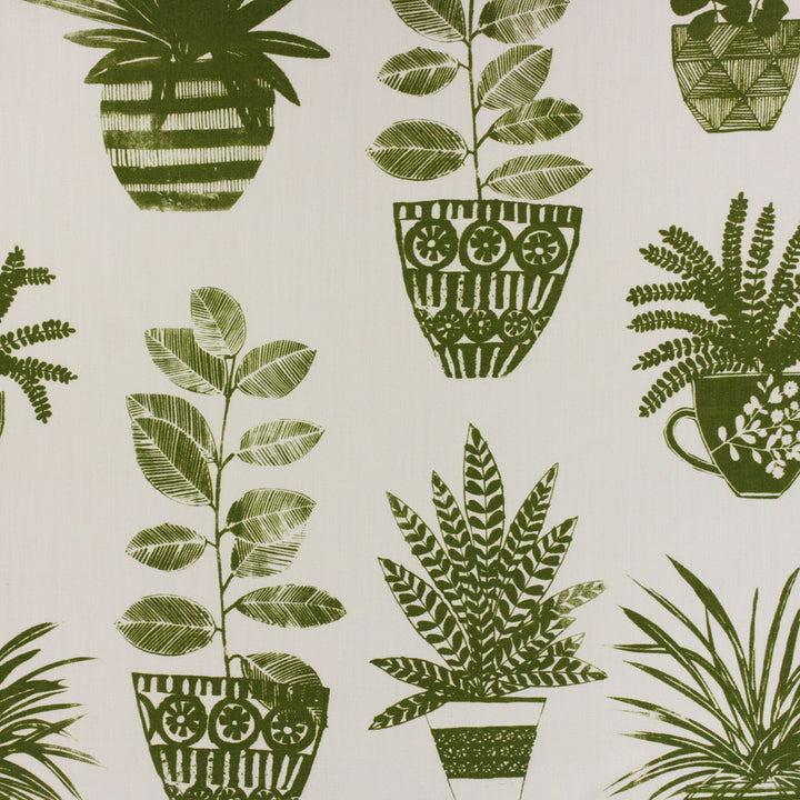 Plantation Ivy by Richloom Fabric See sample 100% COTTON USA or Imported N/A </p><p>Repeat: V36" x H27' 56" - Fabric Carolina -