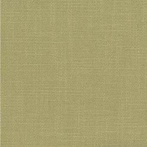 Playa Citron 318 by Norbar Fabric 100% POLYESTER 50,000 WYZENBEEK </p><p>Repeat: 55" - Fabric Carolina -